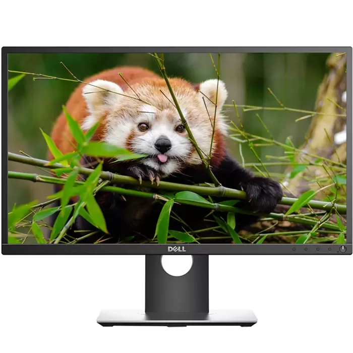 مانیتور-Dell -P2317H